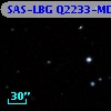 SAS-LBG Q2233-MD44