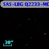SAS-LBG Q2233-MD45