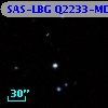 SAS-LBG Q2233-MD46