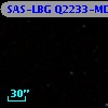 SAS-LBG Q2233-MD49