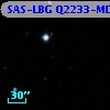 SAS-LBG Q2233-MD53
