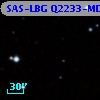 SAS-LBG Q2233-MD39
