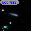 NGC  7567