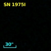 SN 1975I