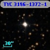 TYC 3186-1372-1