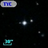TYC 1175-537-1