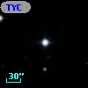 TYC 1175-967-1