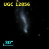 UGC 12856
