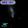APG 262