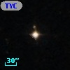 TYC  600-295-1