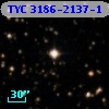 TYC 3186-2137-1