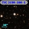 TYC 3190-100-1