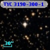 TYC 3190-300-1