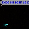 CNOC MS 0015  101278