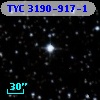 TYC 3190-917-1