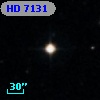 HD   7131