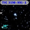 TYC 3190-995-1