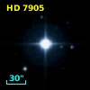 HD   7905