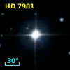 HD   7981
