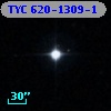 TYC  620-1309-1