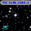 TYC 3190-1103-1