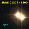 IRAS 01372+1500