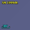 SN 1999dk
