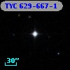 TYC  629-667-1