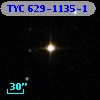 TYC  629-1135-1