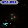 LEDA    8559