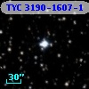 TYC 3190-1607-1