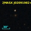 2MASX J02091982+1310500