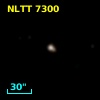 NLTT  7300