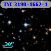 TYC 3190-1667-1