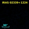 IRAS 02339+1224