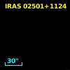 IRAS 02501+1124