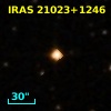 IRAS 21023+1246