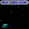 IRAS 21055+1236