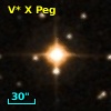 V* X Peg