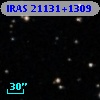 IRAS 21131+1309