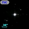TYC 1131-25-1