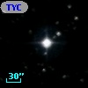 TYC 1131-2077-1