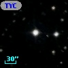TYC 1131-2103-1