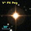 V* PX Peg