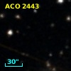 ACO  2443