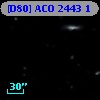 [D80] ACO  2443   1