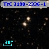 TYC 3190-2336-1