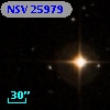 NSV 25979