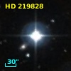 HD 219828