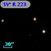 SV* R   223